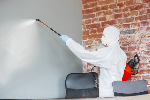 Best Mold Documentation for Insurance Claims  in Caribou, ME