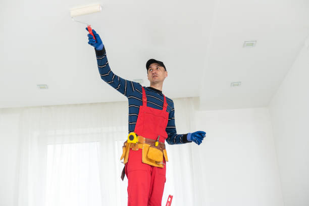 Best Mold Damage Restoration  in Caribou, ME
