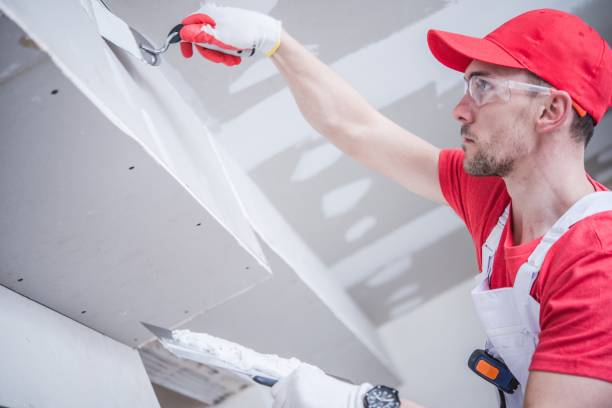 Best Comprehensive Air Testing for Mold Contaminants  in Caribou, ME